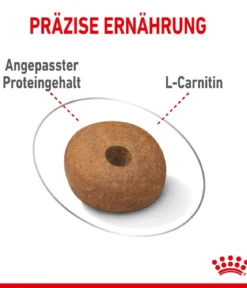 ROYAL CANIN® Trockenfutter für Hunde Light Weight Care Medium, 3 kg