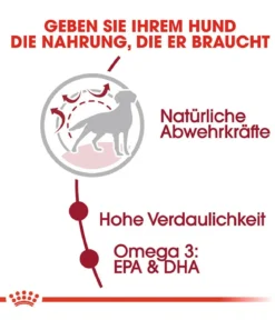 ROYAL CANIN® Trockenfutter für Hunde Medium Adult