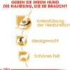 ROYAL CANIN® Trockenfutter für Hunde Cavalier King Charles Adult