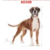 ROYAL CANIN® Trockenfutter für Hunde Boxer 26 Adult