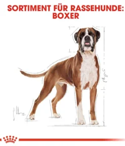 ROYAL CANIN® Trockenfutter für Hunde Boxer 26 Adult