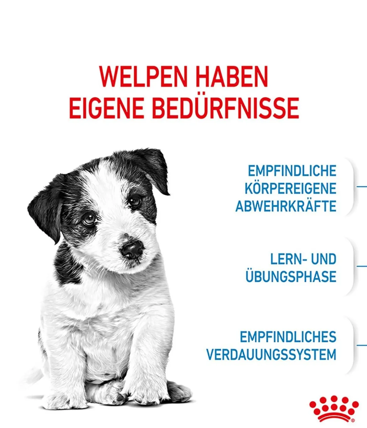 ROYAL CANIN® Trockenfutter für Hunde Mini Puppy