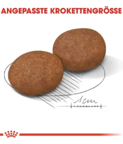 ROYAL CANIN® Trockenfutter für Hunde Medium Adult 7+
