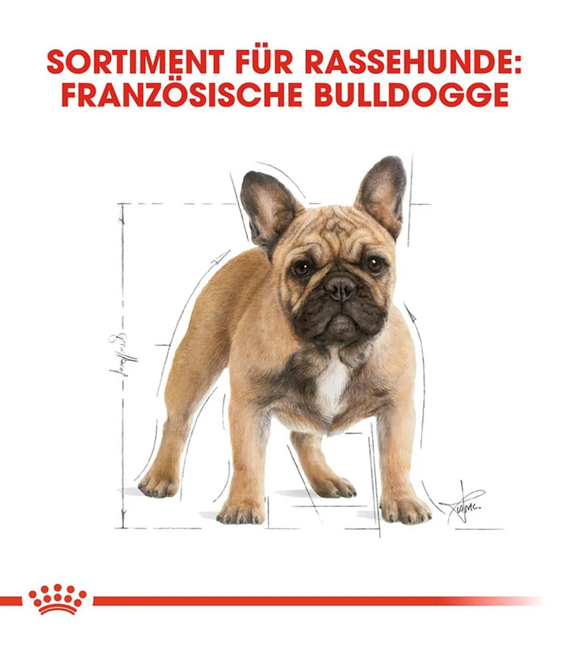 ROYAL CANIN® Trockenfutter für Hunde French Bulldog Adult, 9 kg