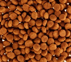 ROYAL CANIN® Trockenfutter für Hunde Club Special Performance