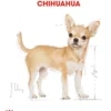 ROYAL CANIN® Trockenfutter für Hunde Chihuahua Adult