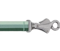 RUFFWEAR® Bungee Joggingleine Roamer™