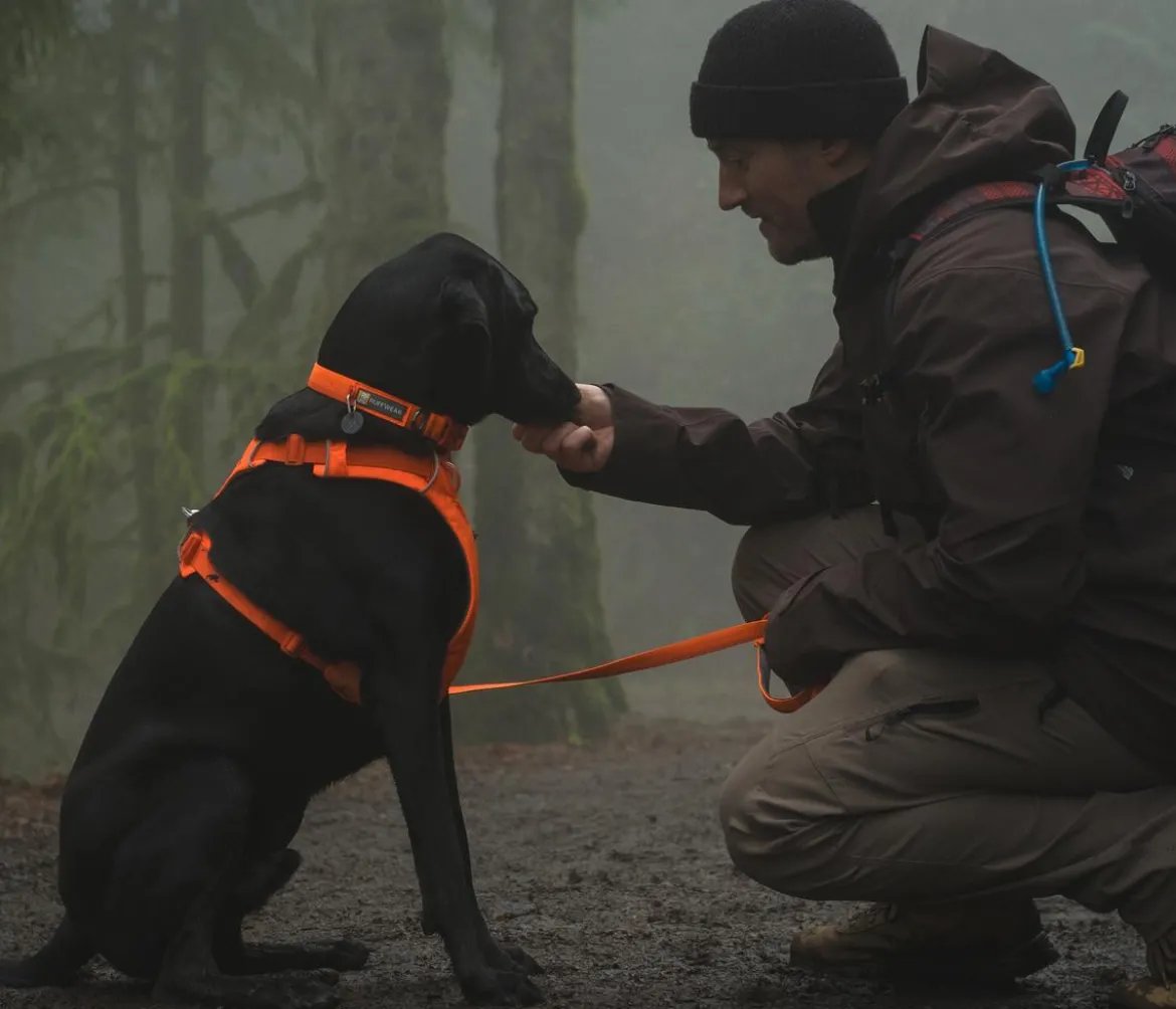 RUFFWEAR® Halsband Front Range™