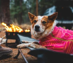 RUFFWEAR® Hundebett Mt. EverRest™, rechteckig, Cloudburst Gray, ca. B96//H20/T76 cm