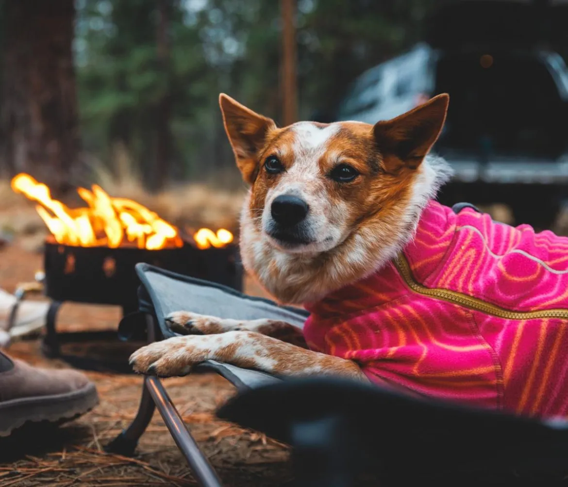 RUFFWEAR® Hundebett Mt. EverRest™, rechteckig, Cloudburst Gray, ca. B96//H20/T76 cm