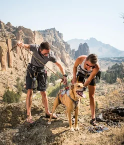 RUFFWEAR® Hundegeschirr DoubleBack™