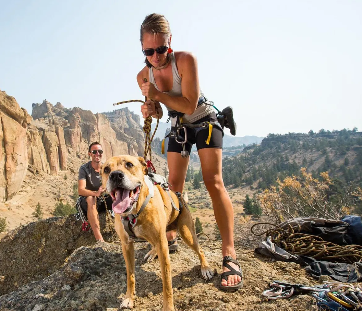 RUFFWEAR® Hundegeschirr DoubleBack™