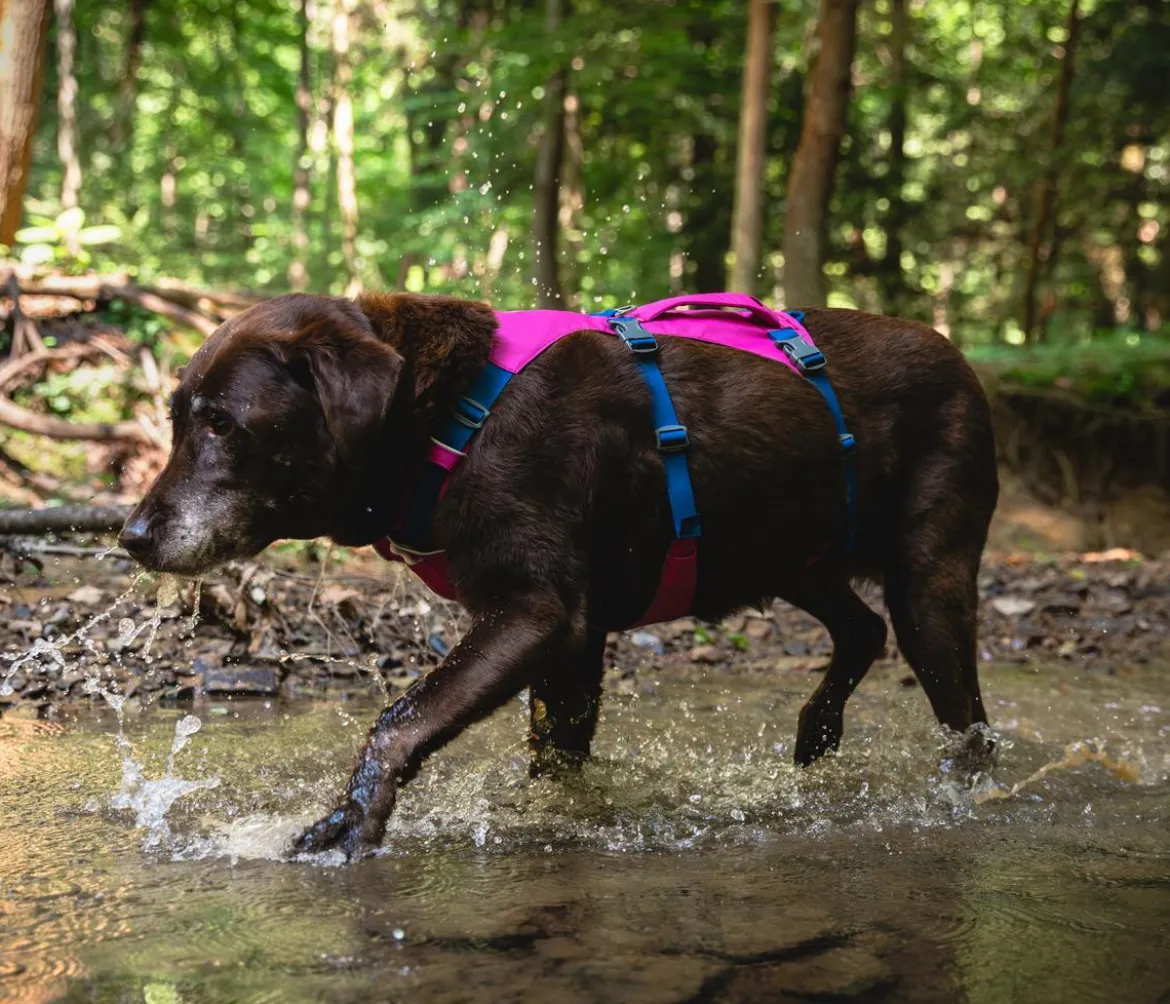RUFFWEAR® Hundegeschirr Flagline Harness 2.0