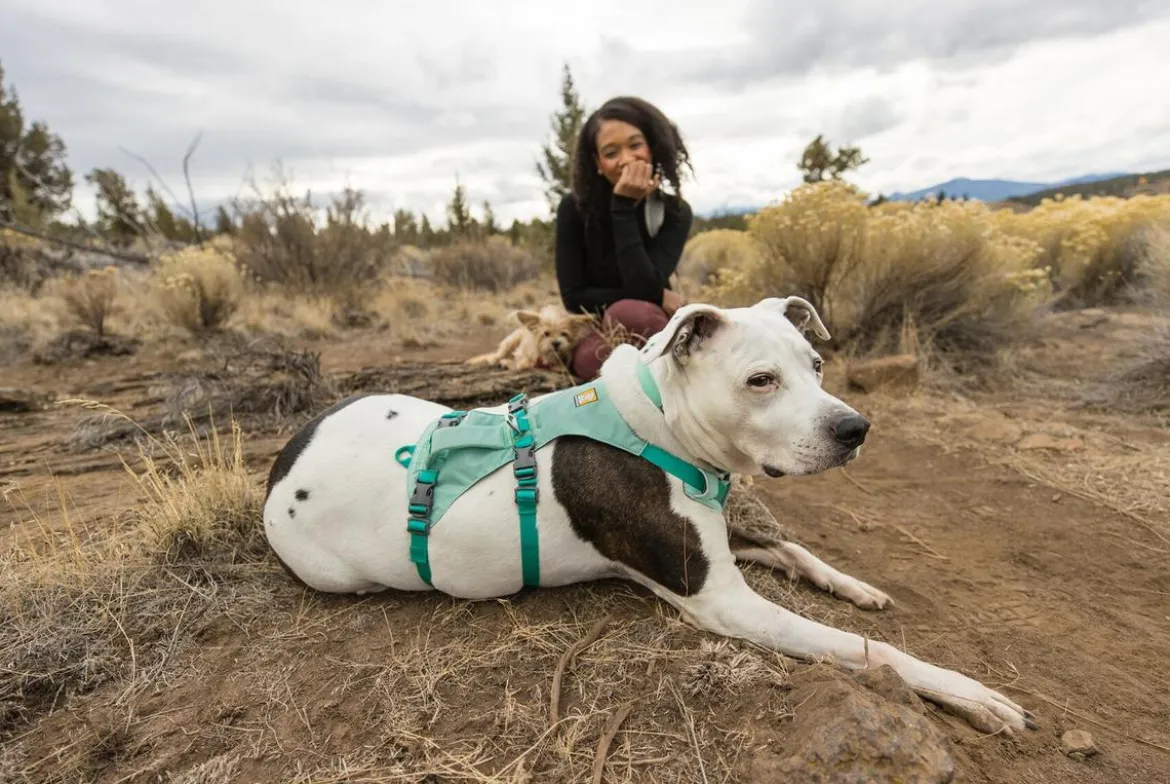 RUFFWEAR® Hundegeschirr Flagline Harness 2.0