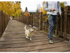 RUFFWEAR® Hundegeschirr Flagline Harness 2.0