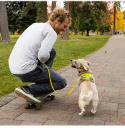RUFFWEAR® Hundegeschirr Flagline Harness 2.0