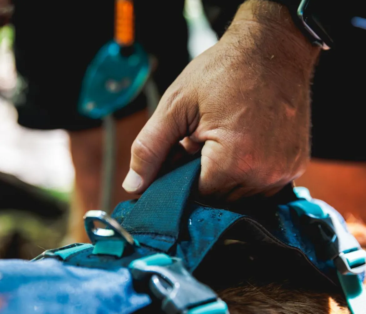 RUFFWEAR® Hundegeschirr Flagline Harness 2.0