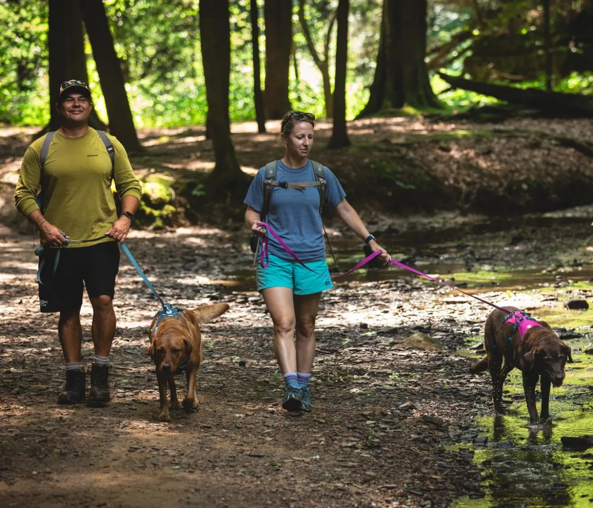 RUFFWEAR® Hundegeschirr Flagline Harness 2.0