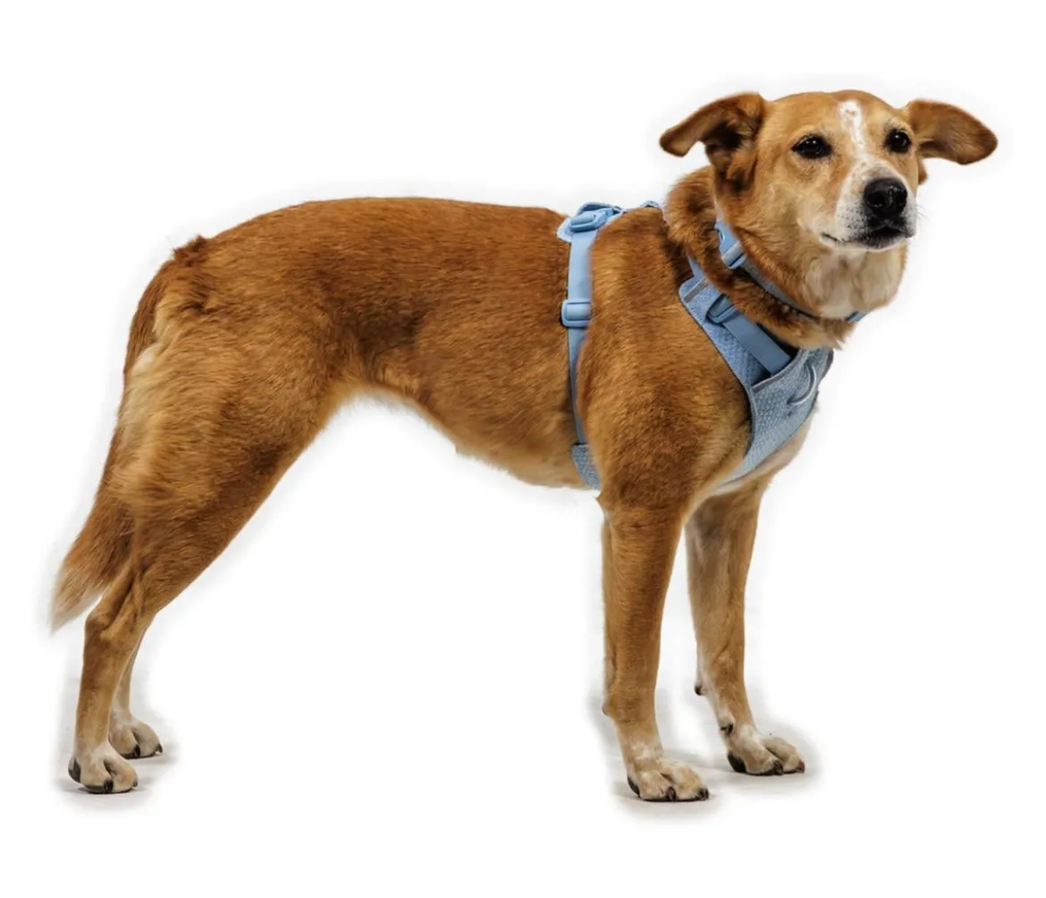 RUFFWEAR® Hundegeschirr Front Range® Flex