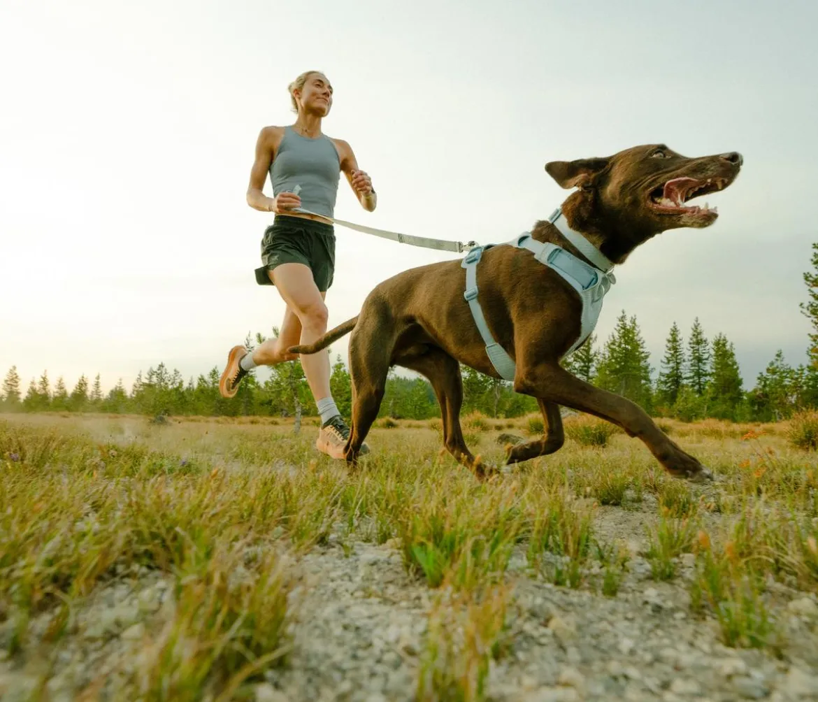 RUFFWEAR® Hundegeschirr Front Range® Flex