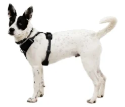RUFFWEAR® Hundegeschirr Front Range® Flex