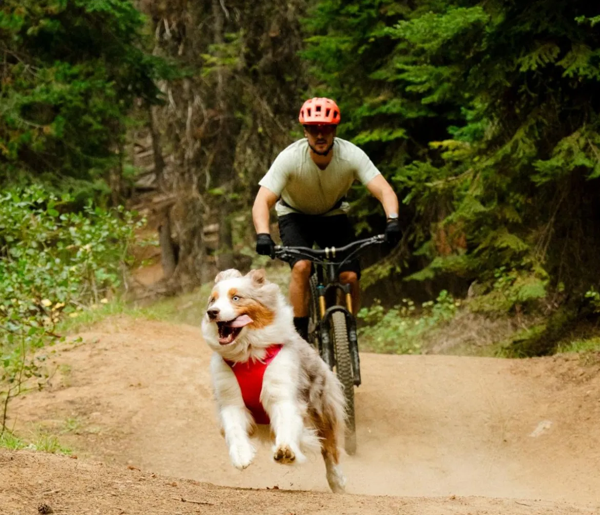RUFFWEAR® Hundegeschirr Front Range® Flex