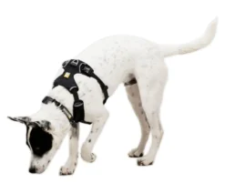RUFFWEAR® Hundegeschirr Front Range® Flex