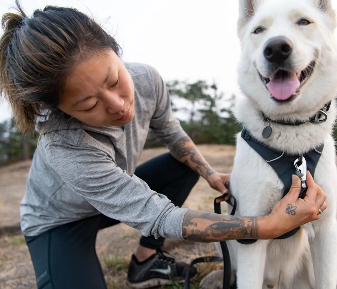 RUFFWEAR® Hundegeschirr Front Range®
