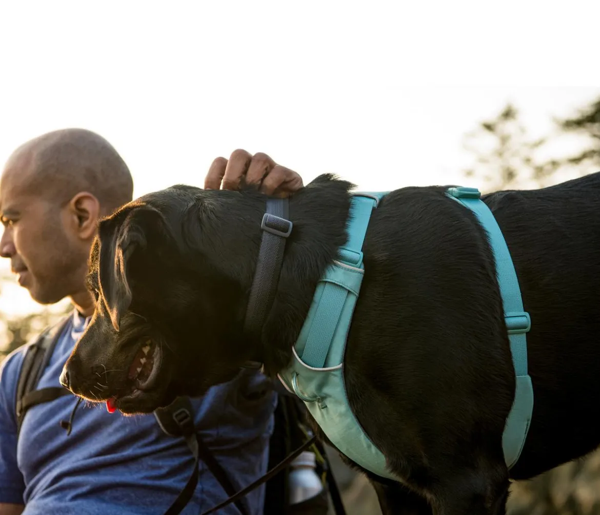 RUFFWEAR® Hundegeschirr Front Range®