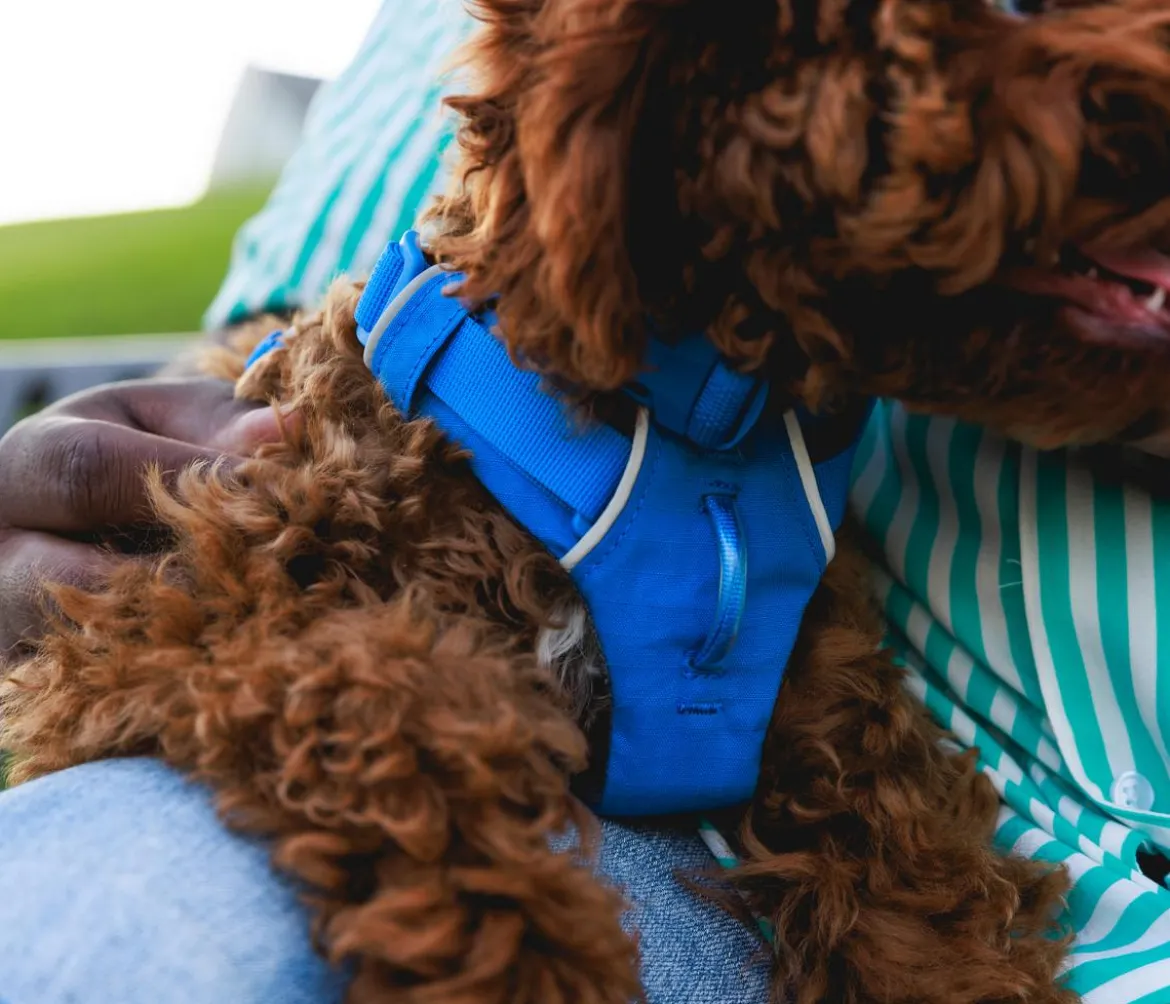 RUFFWEAR® Hundegeschirr Front Range®