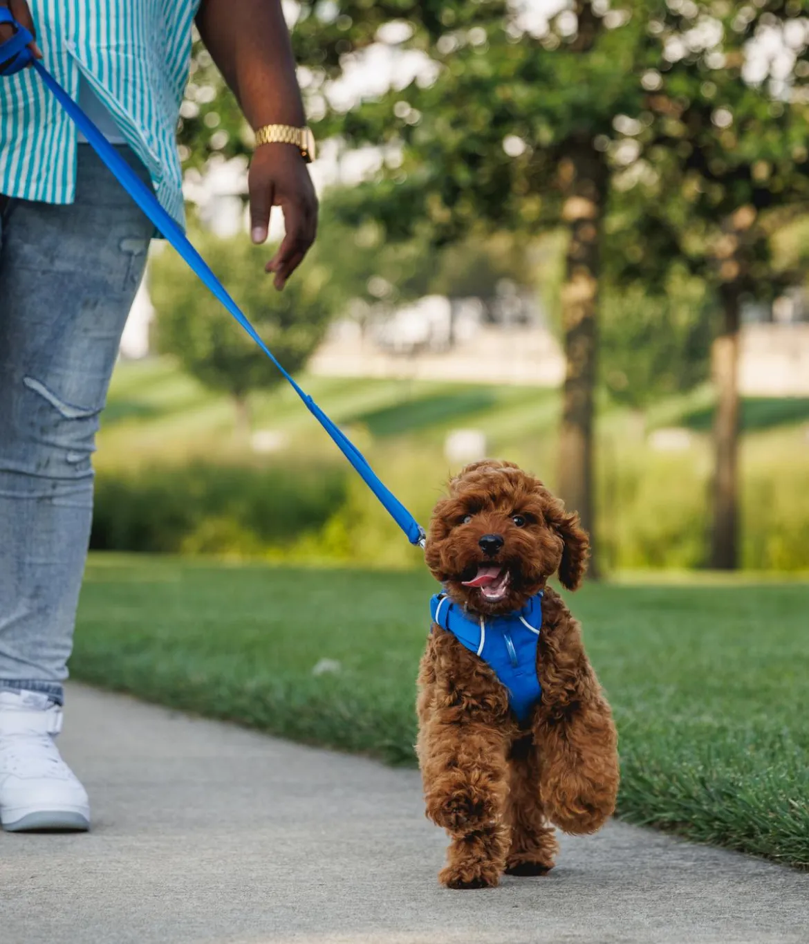 RUFFWEAR® Hundegeschirr Front Range®