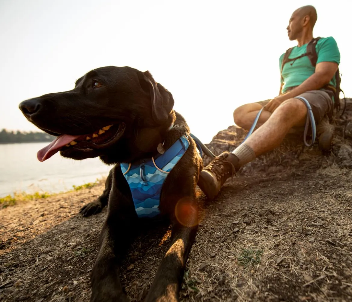 RUFFWEAR® Hundegeschirr Front Range®