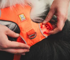 RUFFWEAR® Hundegeschirr Front Range®
