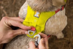 RUFFWEAR® Hundegeschirr Hi & Light™ Harness 2.0