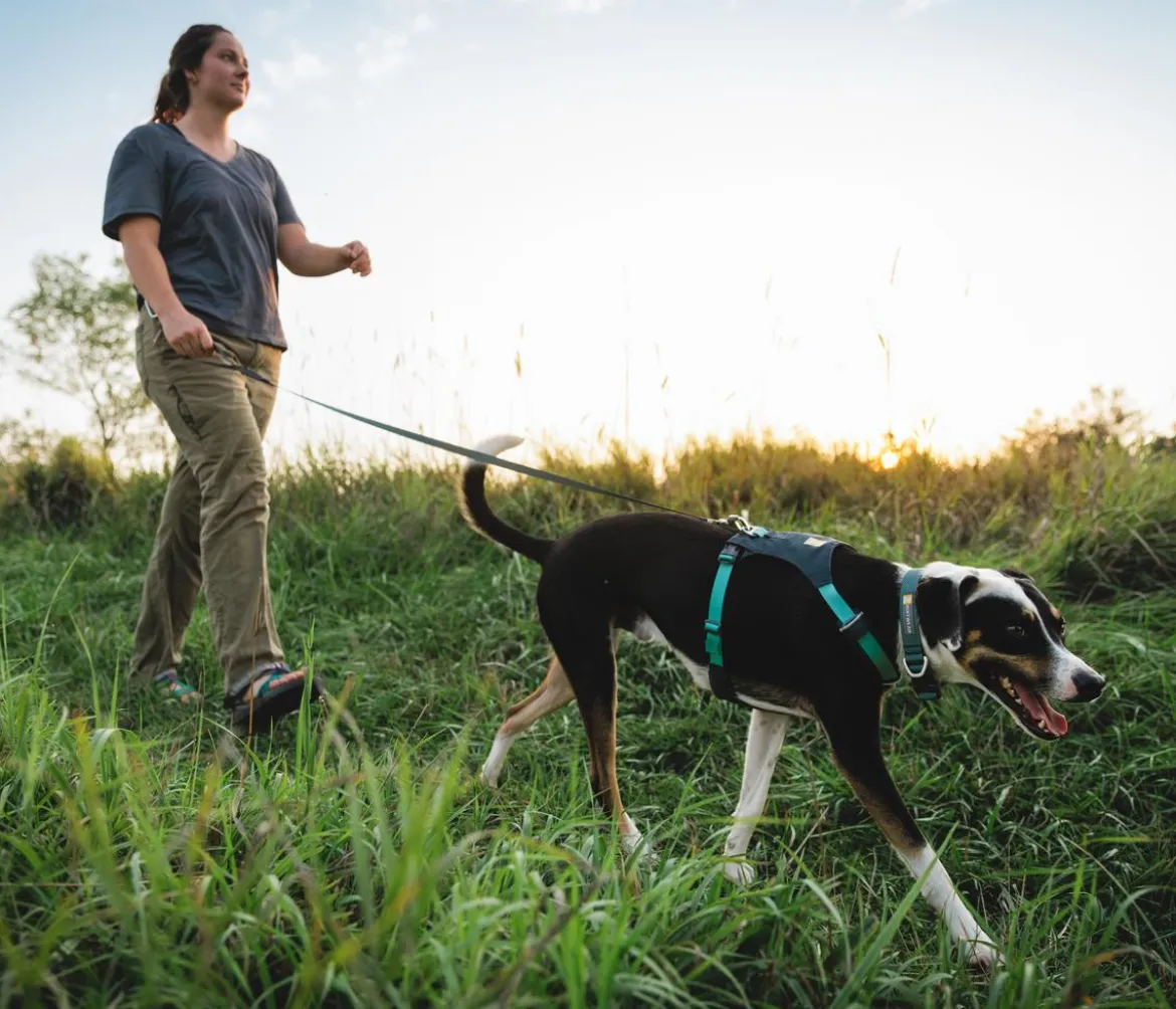 RUFFWEAR® Hundegeschirr Hi & Light™ Harness 2.0