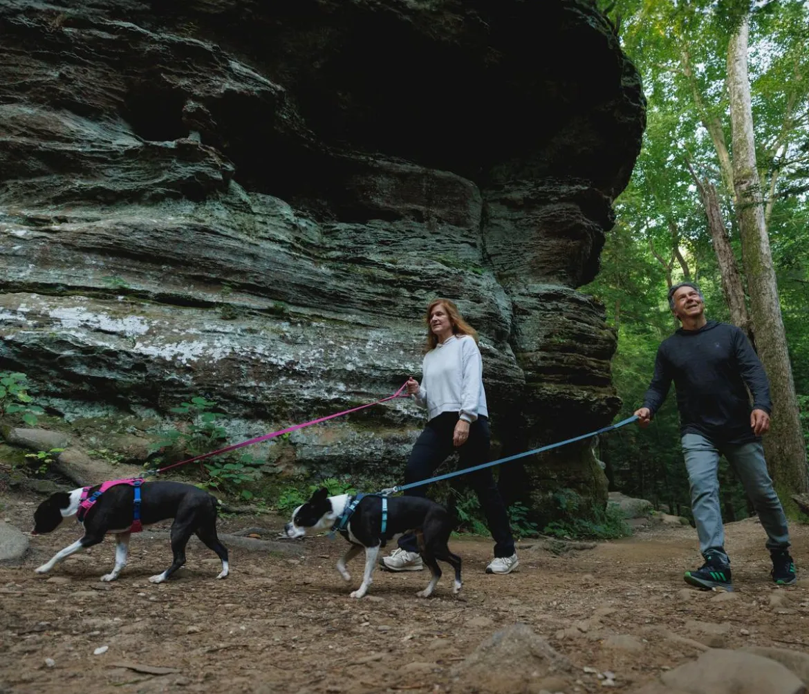RUFFWEAR® Hundegeschirr Hi & Light™ Harness 2.0