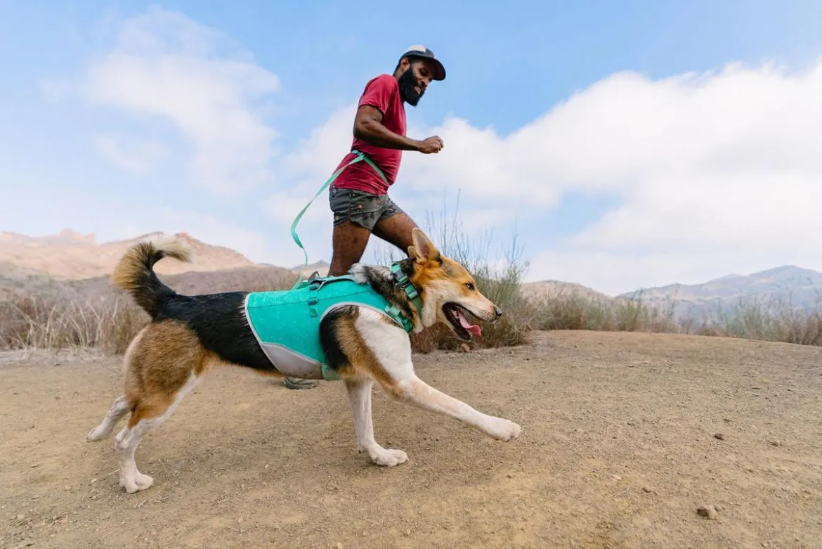 RUFFWEAR® Hundegeschirr Hi & Light™ Harness 2.0