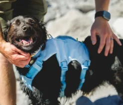 RUFFWEAR® Hundegeschirr mit Rucksack Palisades™