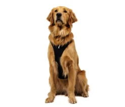 RUFFWEAR® Hundegeschirr Ridgeline™