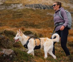 RUFFWEAR® Hundegeschirr Ridgeline™