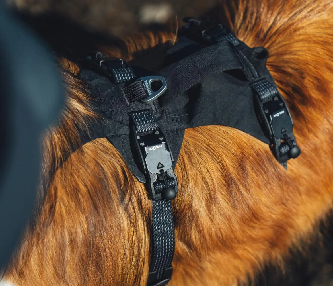 RUFFWEAR® Hundegeschirr Ridgeline™