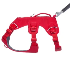 RUFFWEAR® Hundegeschirr Web Master™