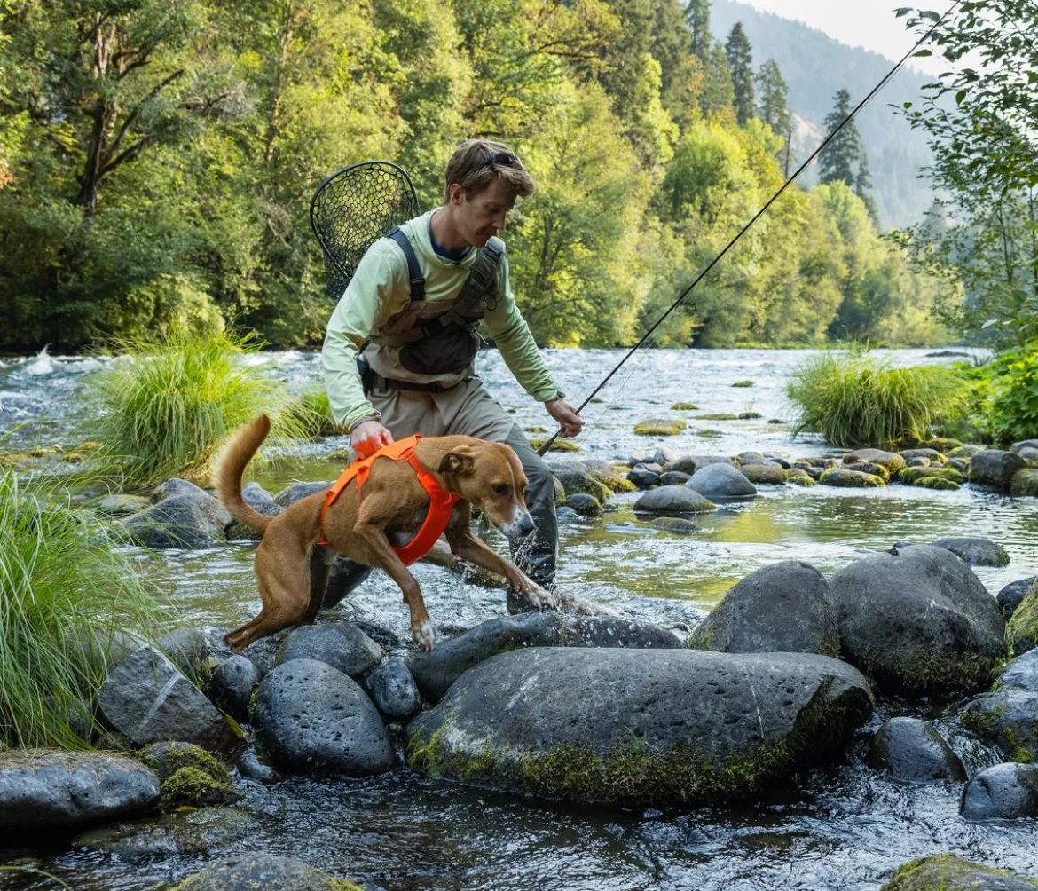 RUFFWEAR® Hundegeschirr Web Master™