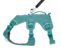 RUFFWEAR® Hundegeschirr Web Master™