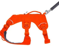 RUFFWEAR® Hundegeschirr Web Master™