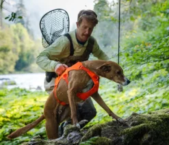 RUFFWEAR® Hundegeschirr Web Master™