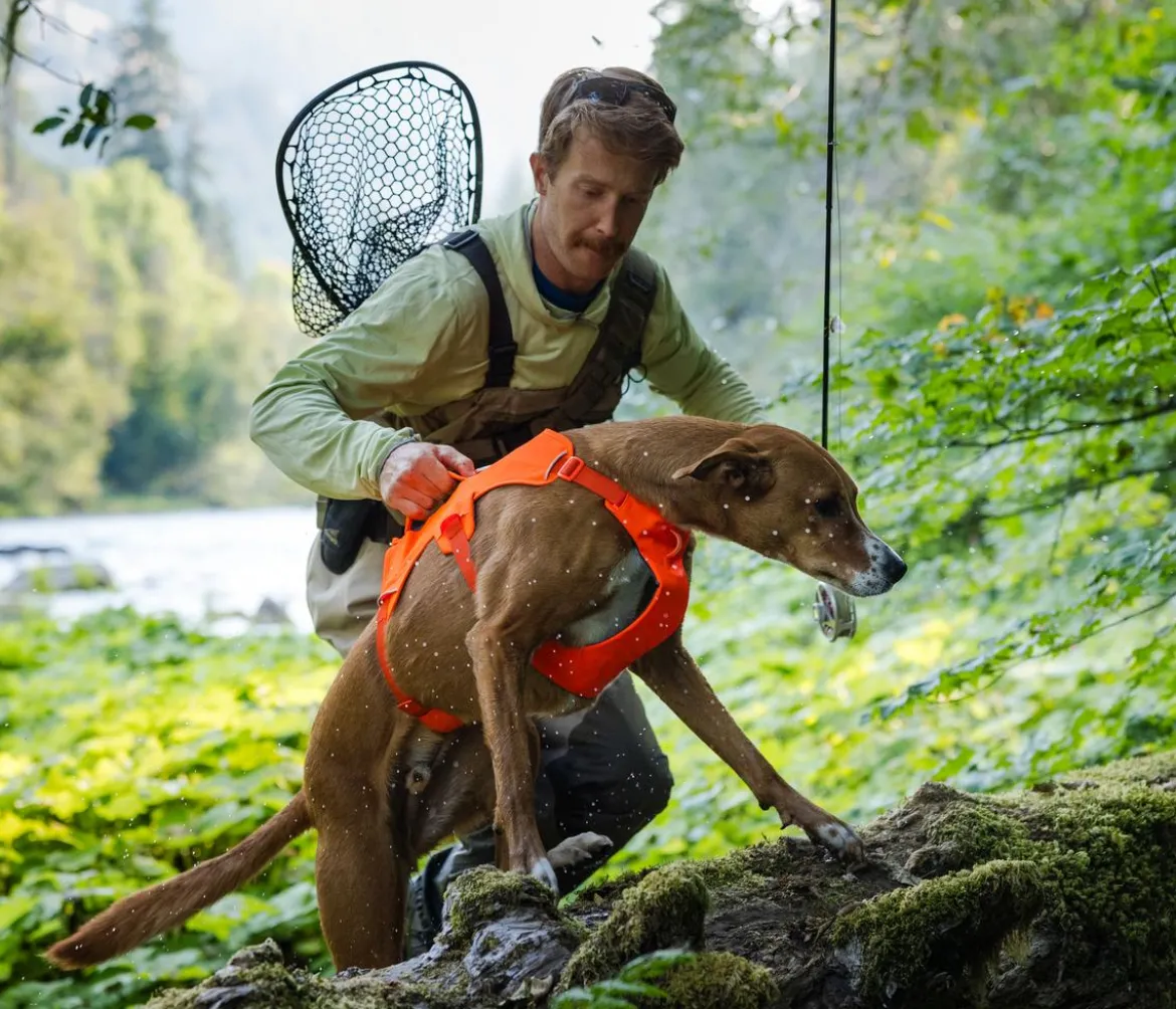 RUFFWEAR® Hundegeschirr Web Master™