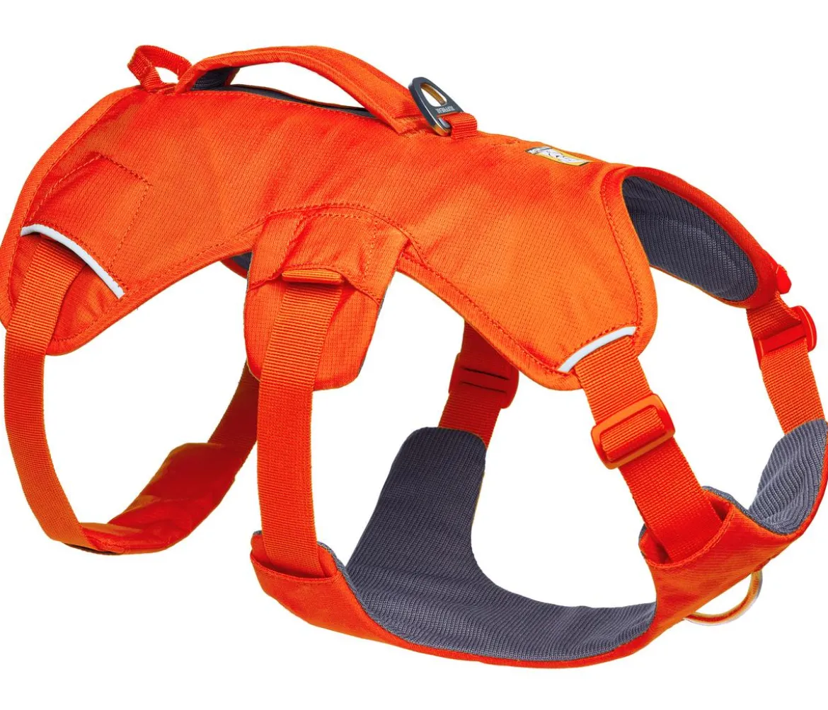 RUFFWEAR® Hundegeschirr Web Master™