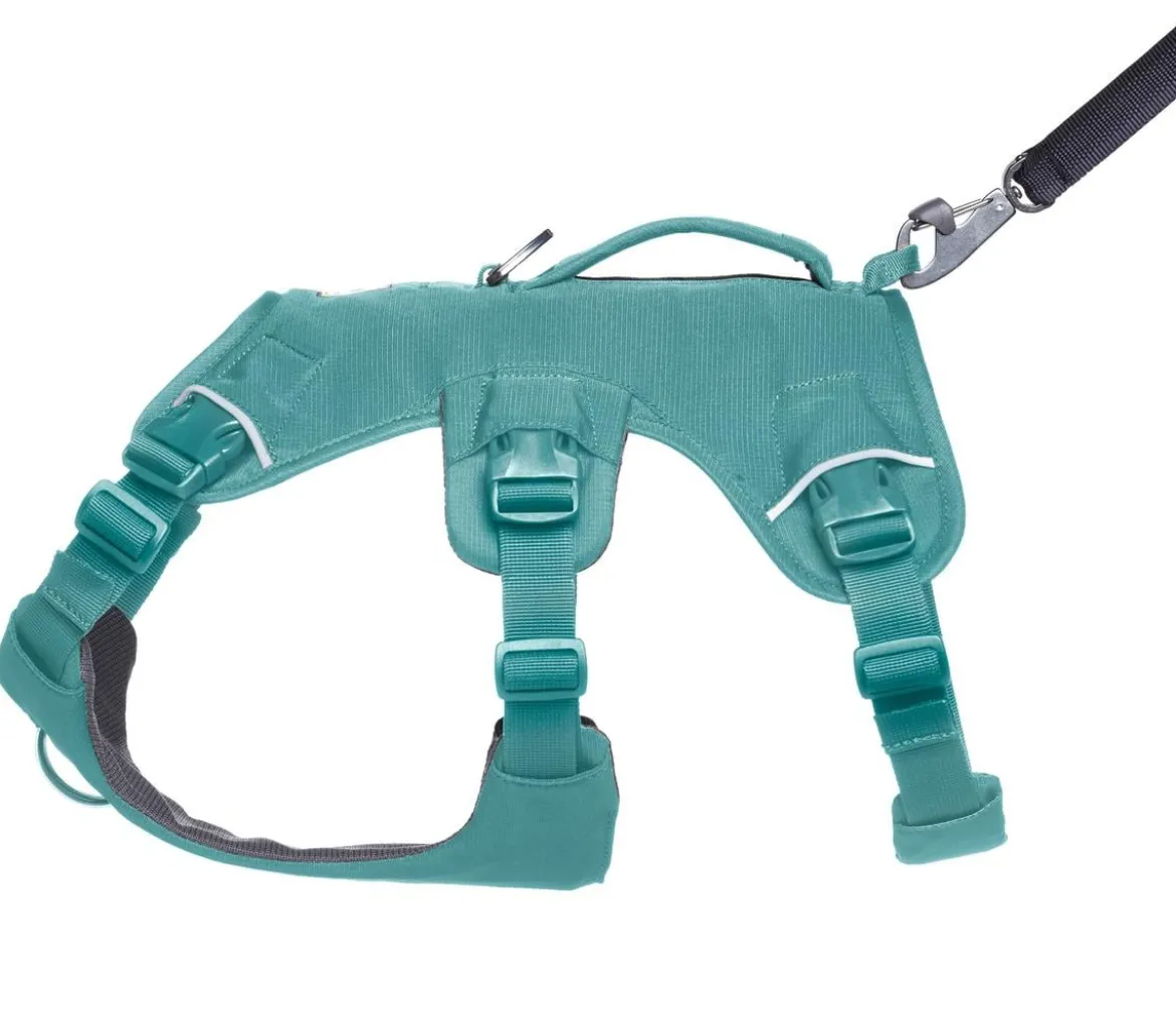 RUFFWEAR® Hundegeschirr Web Master™