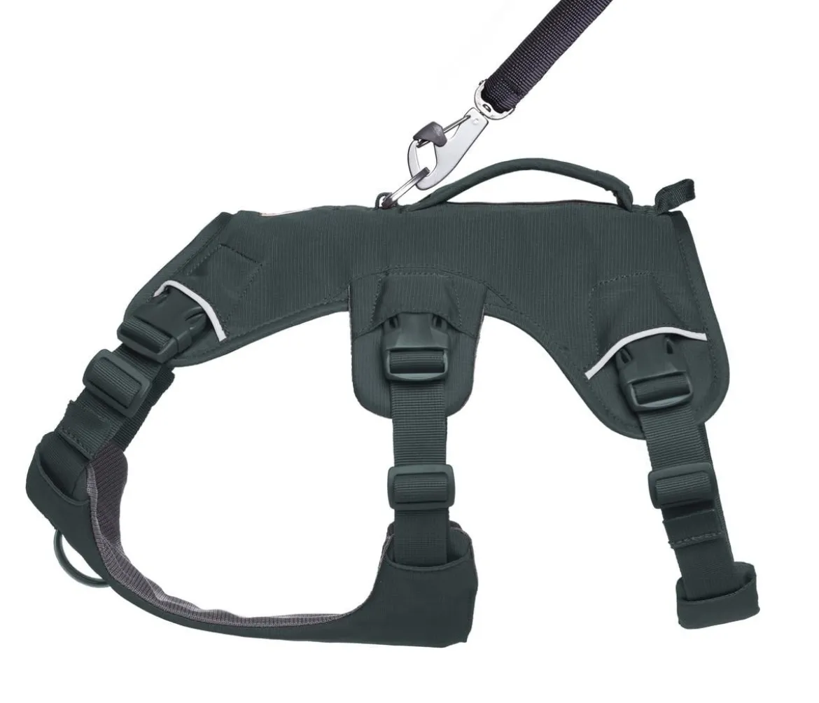 RUFFWEAR® Hundegeschirr Web Master™